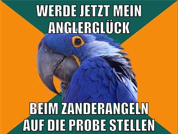 werde jetzt mein anglerglück beim zanderangeln auf die probe stellen