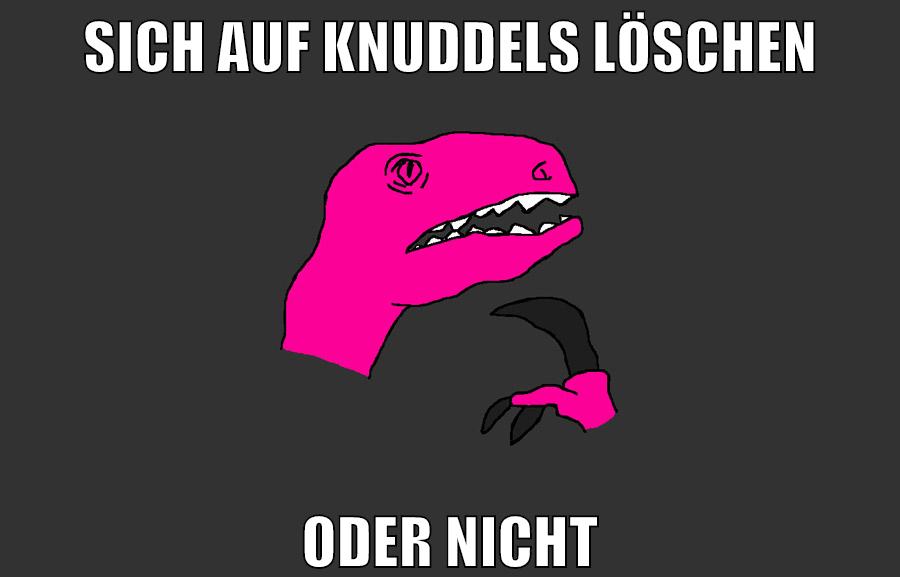 sich auf knuddels löschen oder nicht?