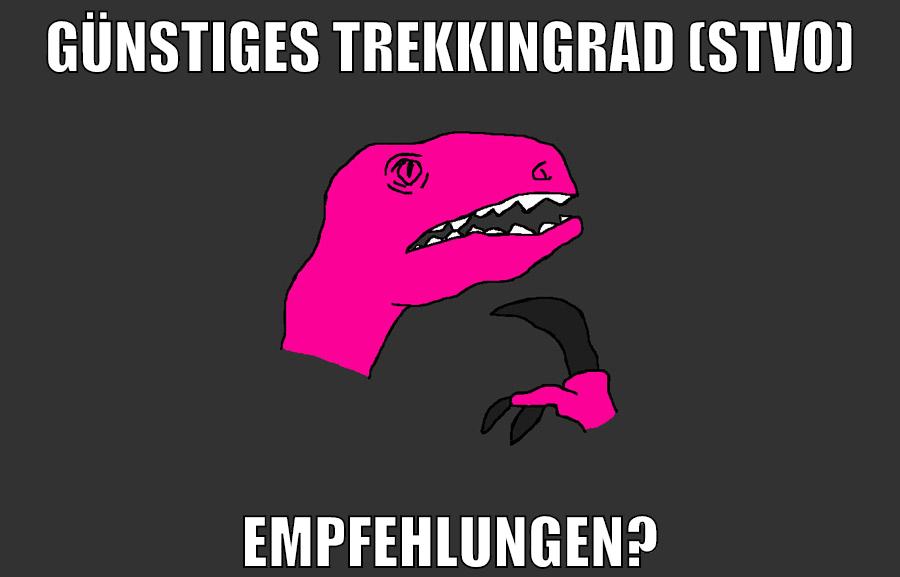 Günstiges Trekkingrad (stvo) empfehlungen?