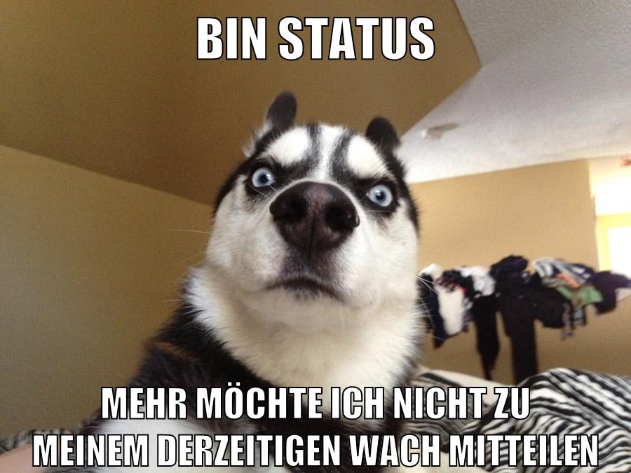 bin status mehr möchte ich nicht zu meinem derzeitigen wach mitteilen
