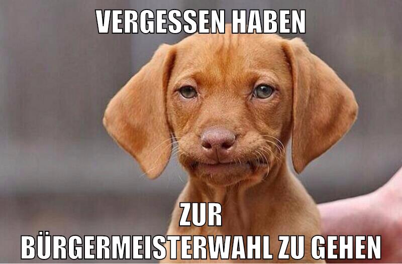 vergessen haben zur bürgermeisterwahl zu gehen