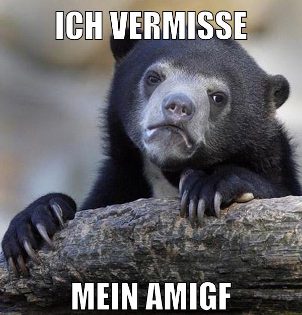 ich vermisse mein amigf