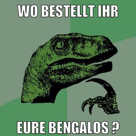 wo bestellt ihr eure bengalos ?
