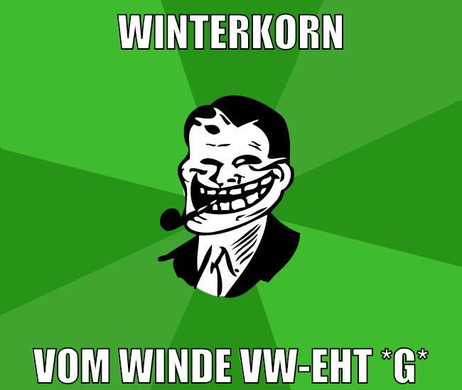 winterkorn vom winde vw-eht *g*