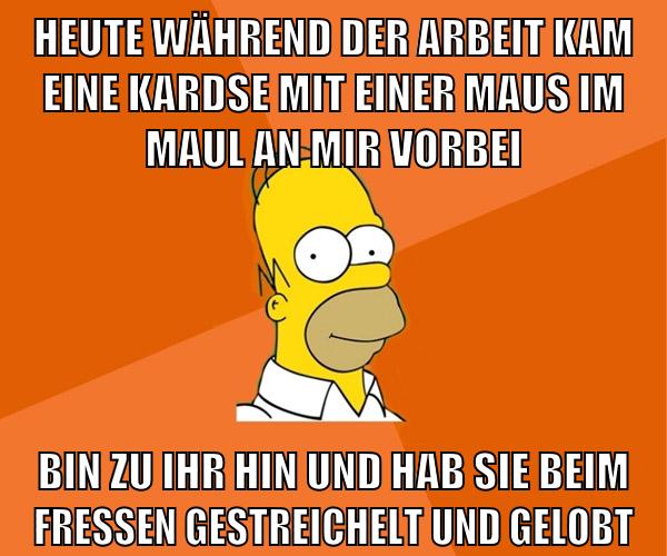 heute während der arbeit kam eine kardse mit einer maus im maul an mir vorbei bin zu ihr hin und hab sie beim fressen gestreichelt und gelobt