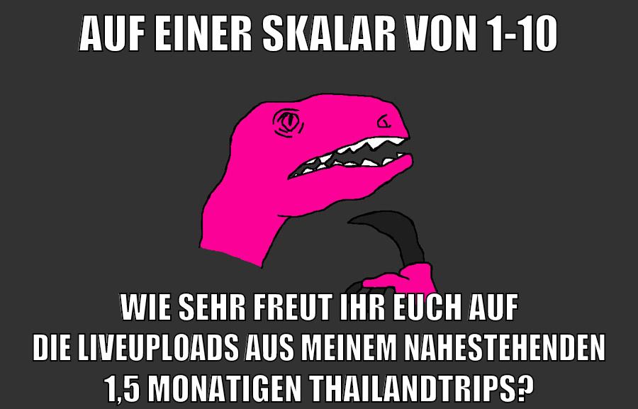 auf einer skalar von 1-10 wie sehr freut ihr euch auf die liveuploads aus meinem nahestehenden 1,5 monatigen thailandtrips?