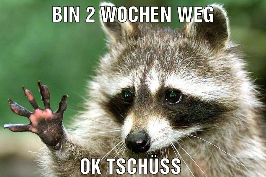 Bin 2 Wochen weg Ok Tschüss