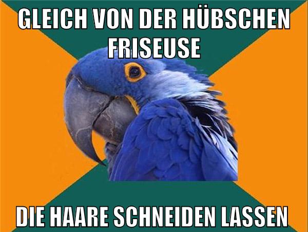 gleich von der hübschen friseuse die haare schneiden lassen