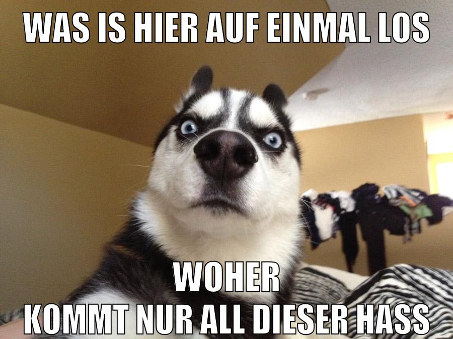 was is hier auf einmal los woher kommt nur all dieser hass