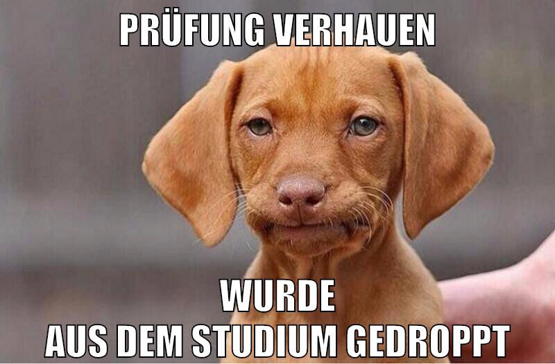 Prüfung verhauen Wurde aus dem Studium gedroppt