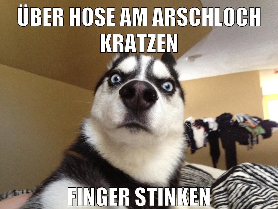 über hose am arschloch kratzen finger stinken