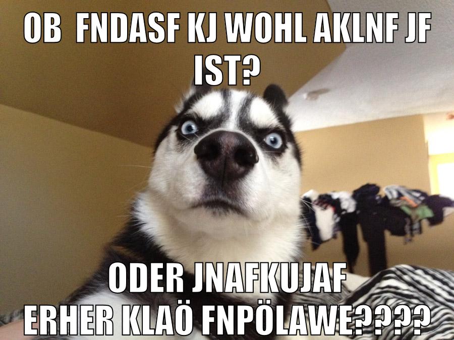 ob  fndasf kj wohl aklnf jf ist? oder jnafkujaf erher klaö fnpölawe????
