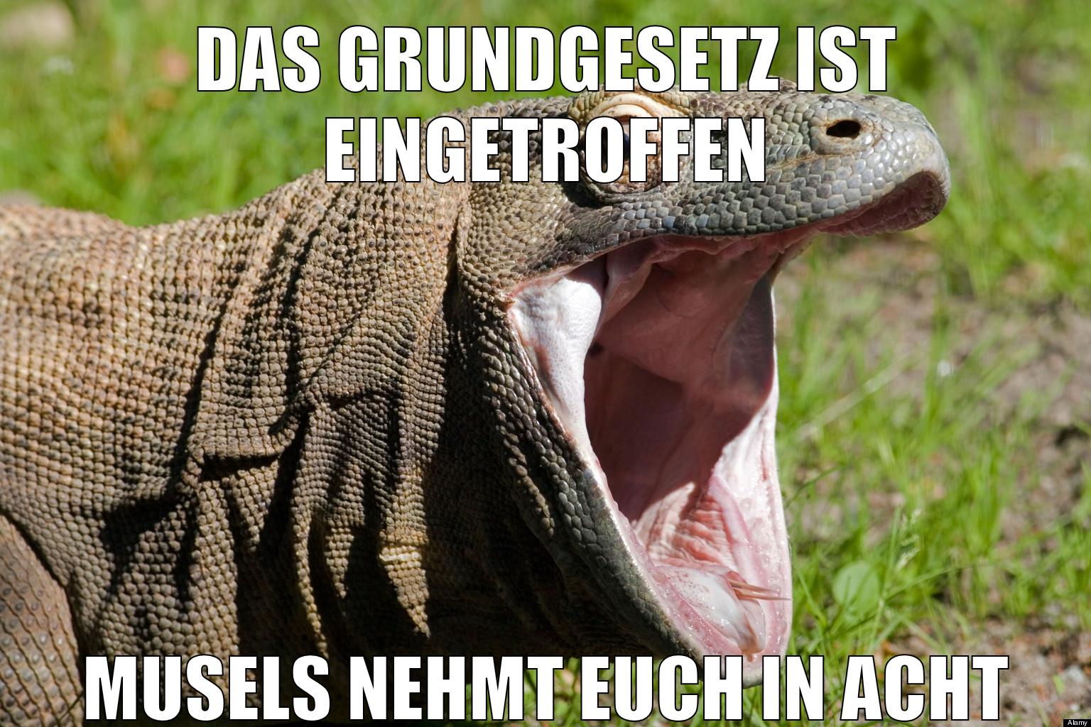 Das Grundgesetz ist eingetroffen musels nehmt euch in acht