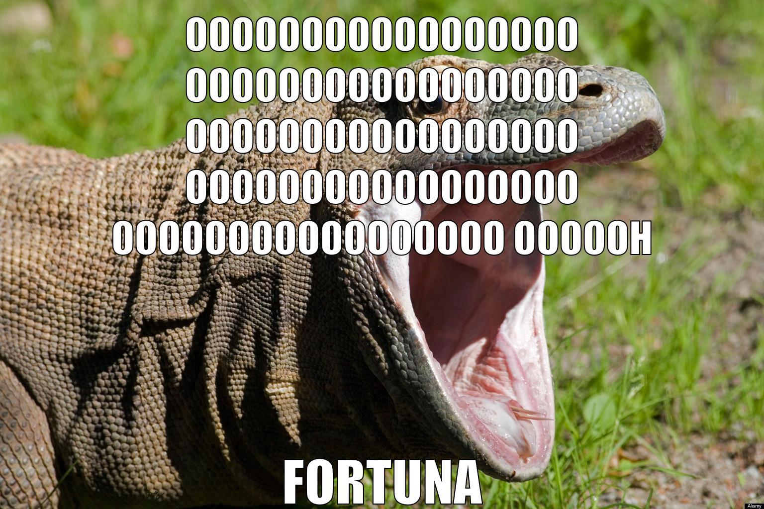 ooooooooooooooooooooooooooooooooooooooooooooooooooooooooooooooooooooooooooooooooooooooooooh fortuna