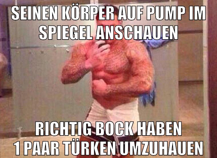 seinen körper auf pump im spiegel anschauen richtig bock haben 1 paar türken umzuhauen