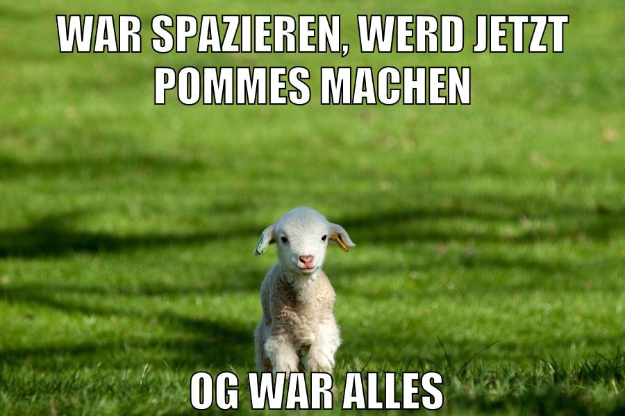 war spazieren, werd jetzt pommes machen og war alles