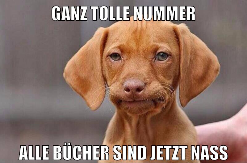 ganz tolle nummer alle bücher sind jetzt nass
