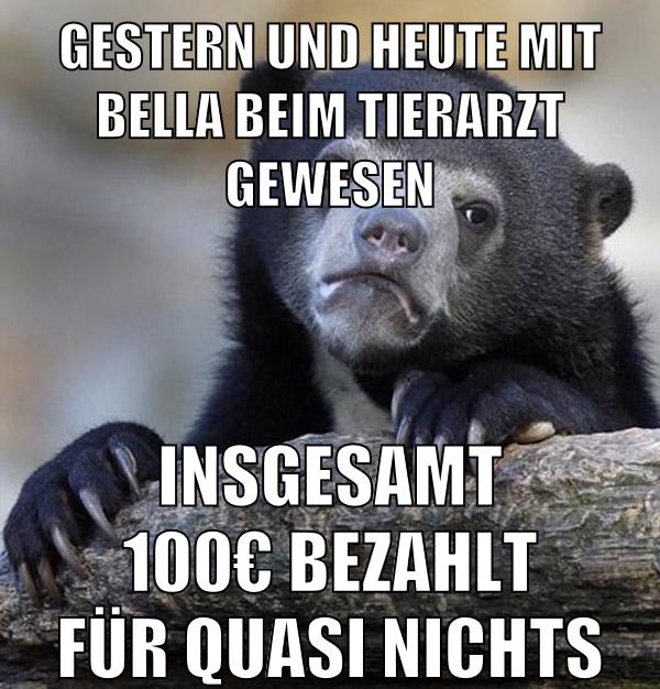 gestern und heute mit bella beim tierarzt gewesen insgesamt 100€ bezahlt für quasi nichts
