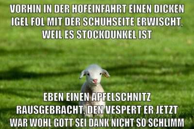 vorhin in der hofeinfahrt einen dicken igel fol mit der schuhseite erwischt, weil es stockdunkel ist eben einen apfelschnitz rausgebracht, den vespert er jetzt war wohl gott sei dank nicht so schlimm
