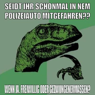 Seidt ihr schonmal in nem polizeiauto mitgefahren?? wenn ja. freiwillig oder gezwungenermaßen?