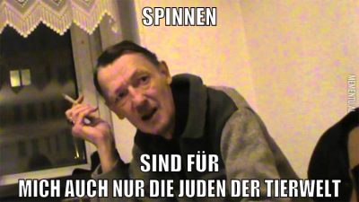 spinnen sind für mich auch nur die juden der tierwelt