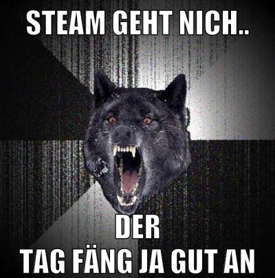 steam geht nich.. der tag fäng ja gut an