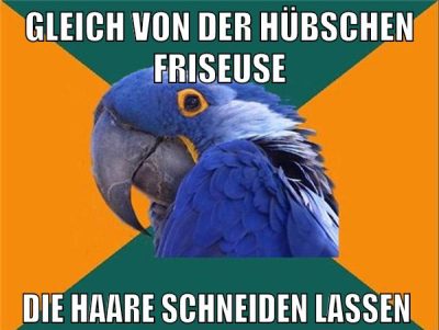 gleich von der hübschen friseuse die haare schneiden lassen