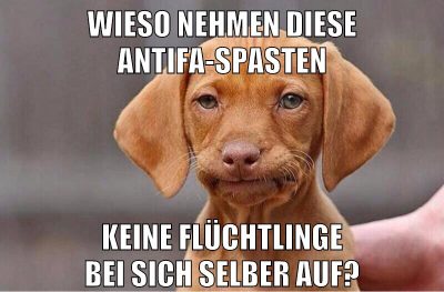 wieso nehmen diese antifa-spasten keine flüchtlinge bei sich selber auf?