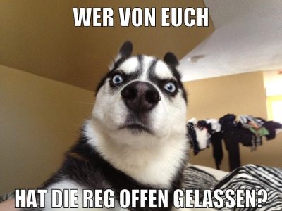 wer von euch hat die reg offen gelassen?