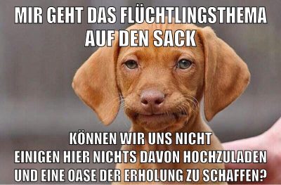 mir geht das flüchtlingsthema auf den sack können wir uns nicht einigen hier nichts davon hochzuladen und eine oase der erholung zu schaffen?