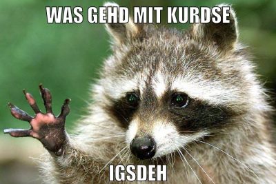 was gehd mit kurdse igsdeh