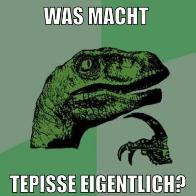 was macht tepisse eigentlich?