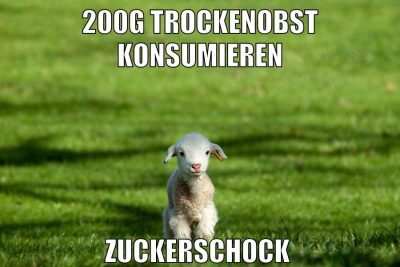 200g trockenobst konsumieren zuckerschock