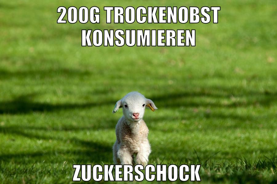 200g trockenobst konsumieren zuckerschock