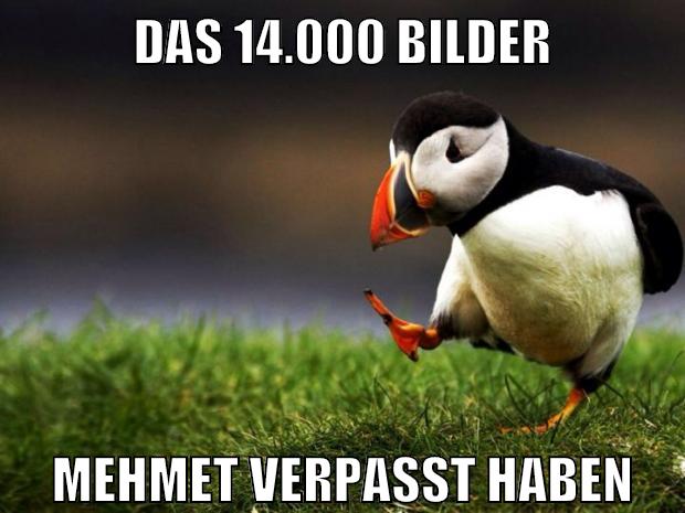 das 14.000 bilder mehmet verpasst haben
