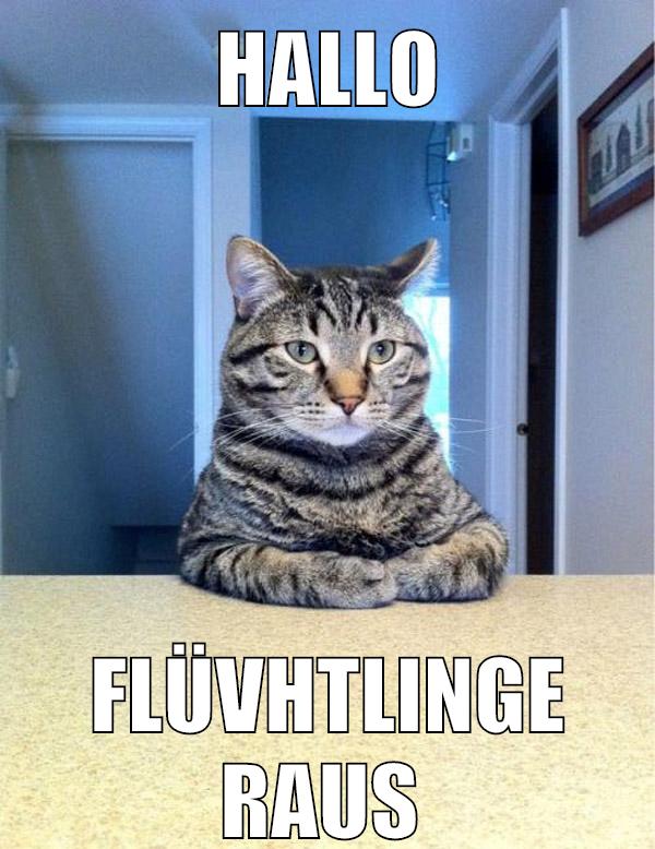 hallo flüvhtlinge raus