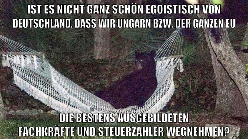 ist es nicht ganz schön egoistisch von deutschland, dass wir ungarn bzw. der ganzen eu die bestens ausgebildeten fachkräfte und steuerzahler wegnehmen?