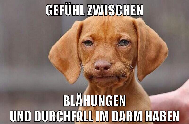 gefühl zwischen blähungen und durchfall im darm haben