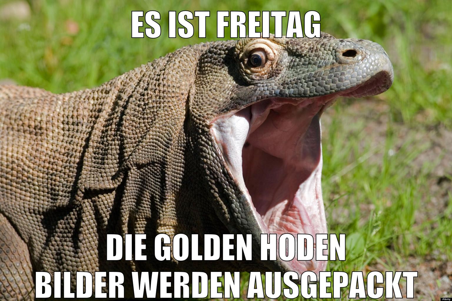 Es ist Freitag die Golden Hoden Bilder werden ausgepackt