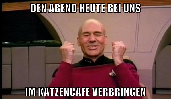 den abend heute bei uns im katzencafe verbringen