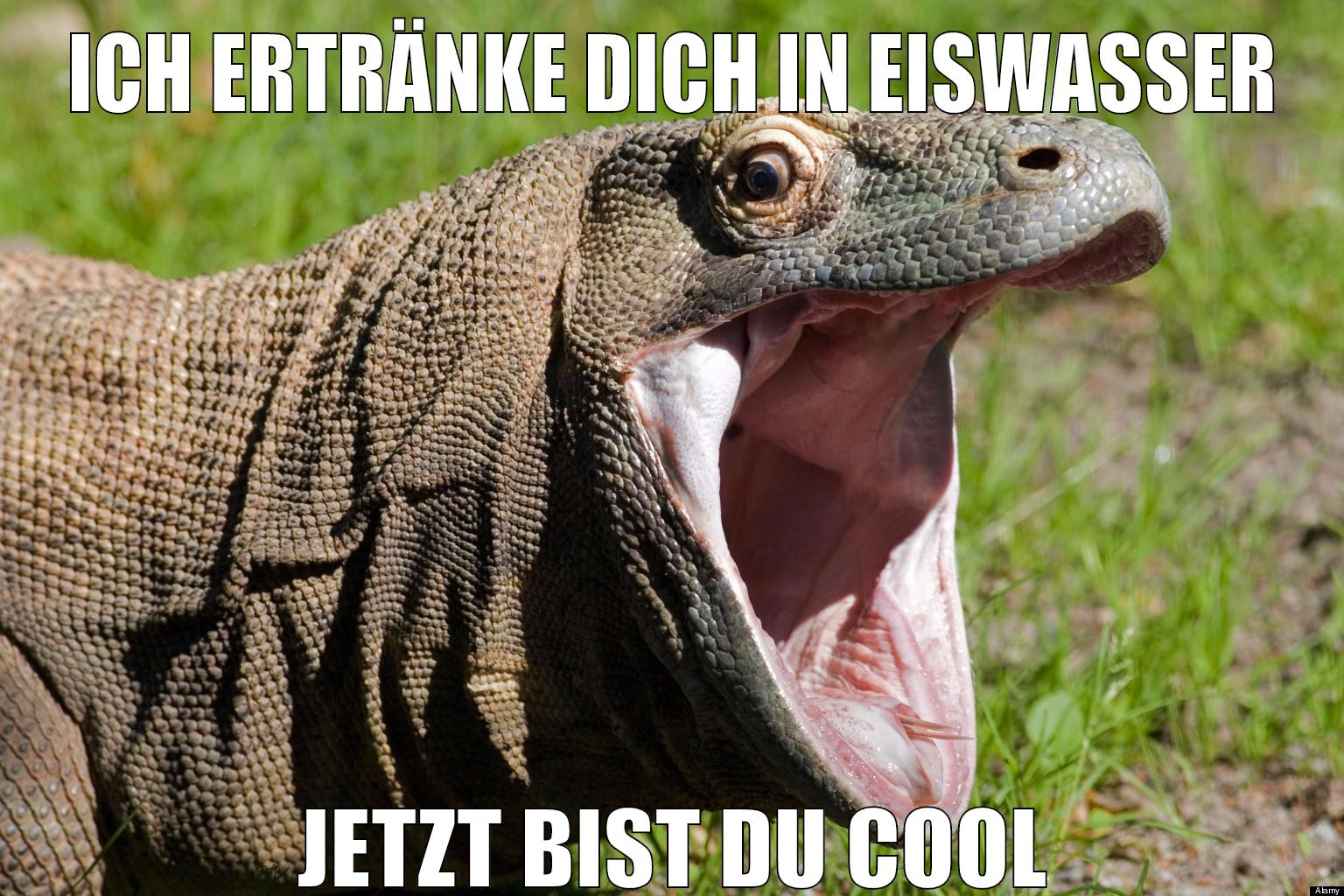ich ertränke dich in eiswasser jetzt bist du cool