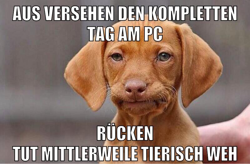 aus versehen den kompletten tag am pc rücken tut mittlerweile tierisch weh