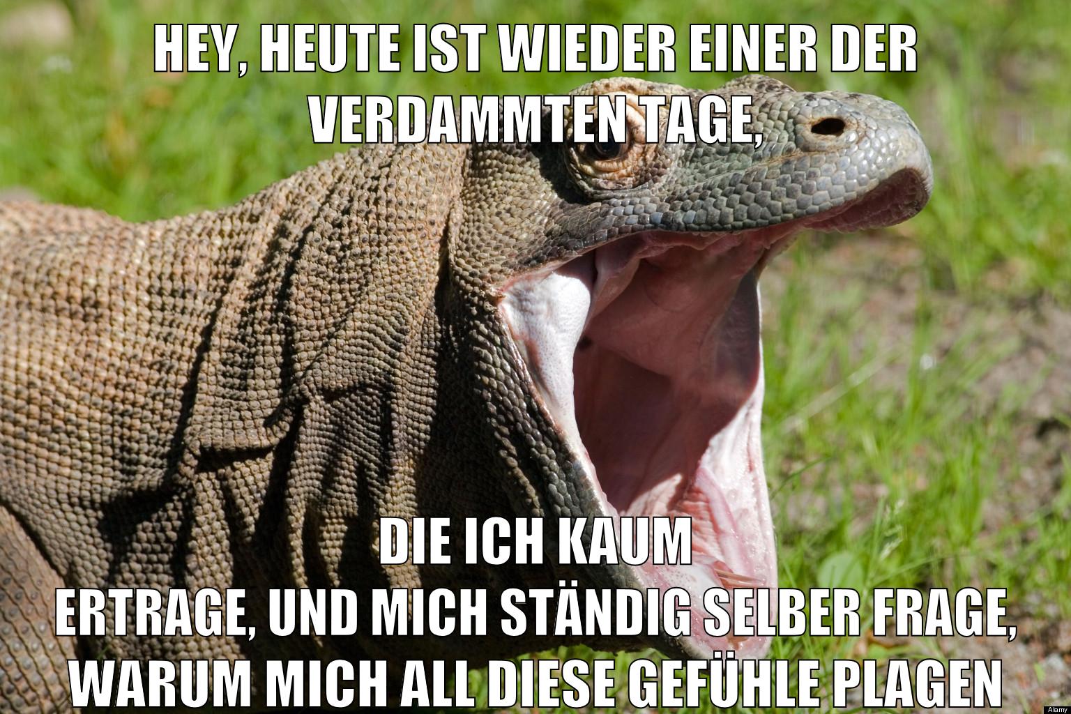 Hey, heute ist wieder einer der verdammten Tage, die ich kaum ertrage, und mich ständig selber frage, warum mich all diese Gefühle plagen