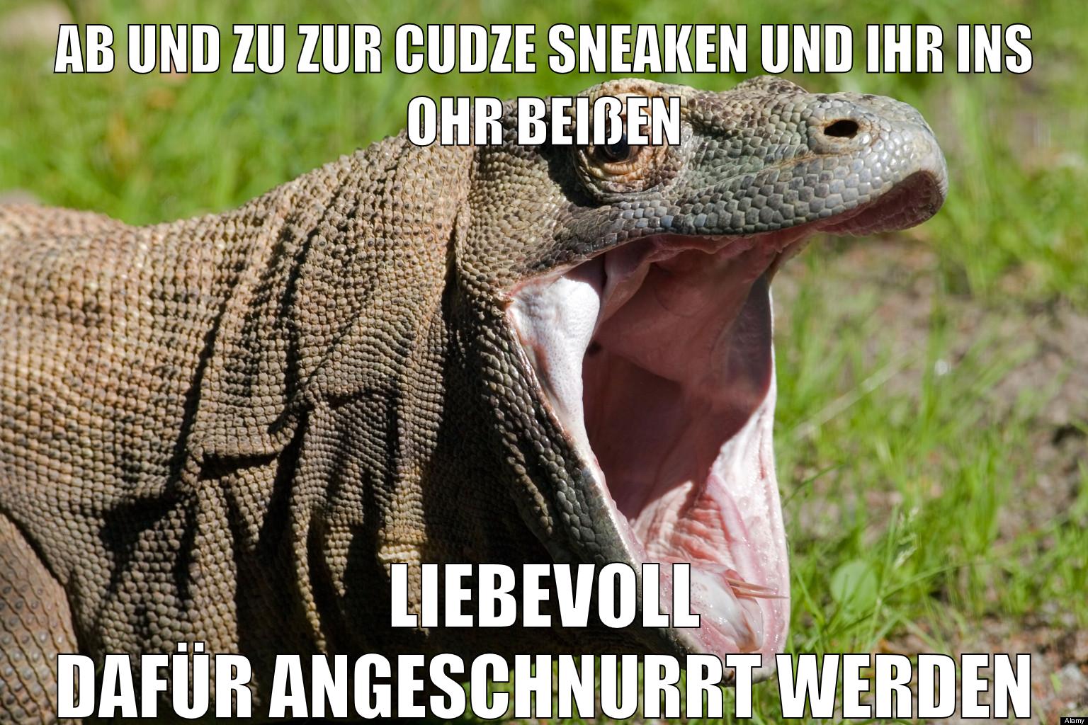 ab und zu zur cudze sneaken und ihr ins ohr beißen liebevoll dafür angeschnurrt werden