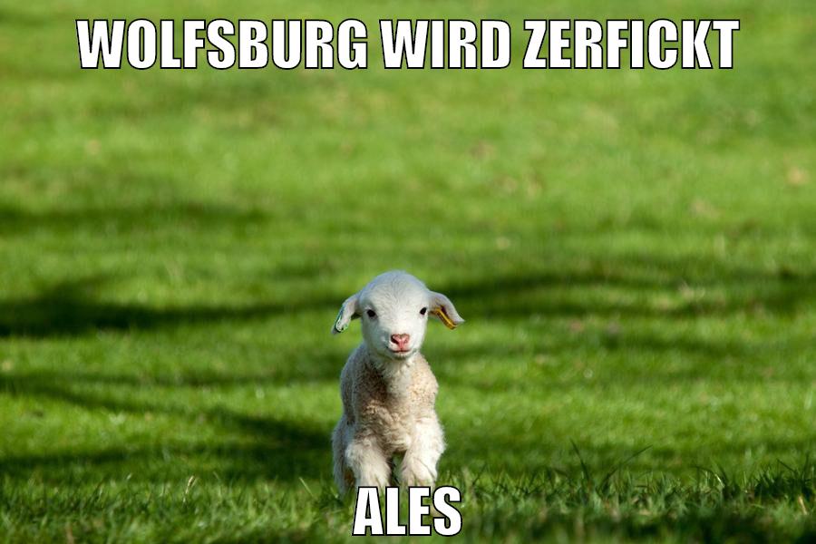 wolfsburg wird zerfickt ales