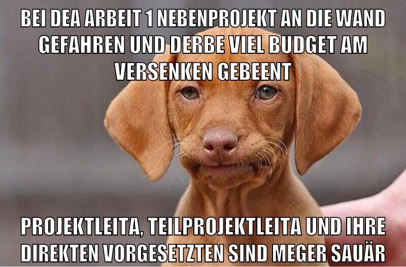 bei dea arbeit 1 nebenprojekt an die wand gefahren und derbe viel budget am versenken gebeent projektleita, teilprojektleita und ihre direkten vorgesetzten sind meger sauär