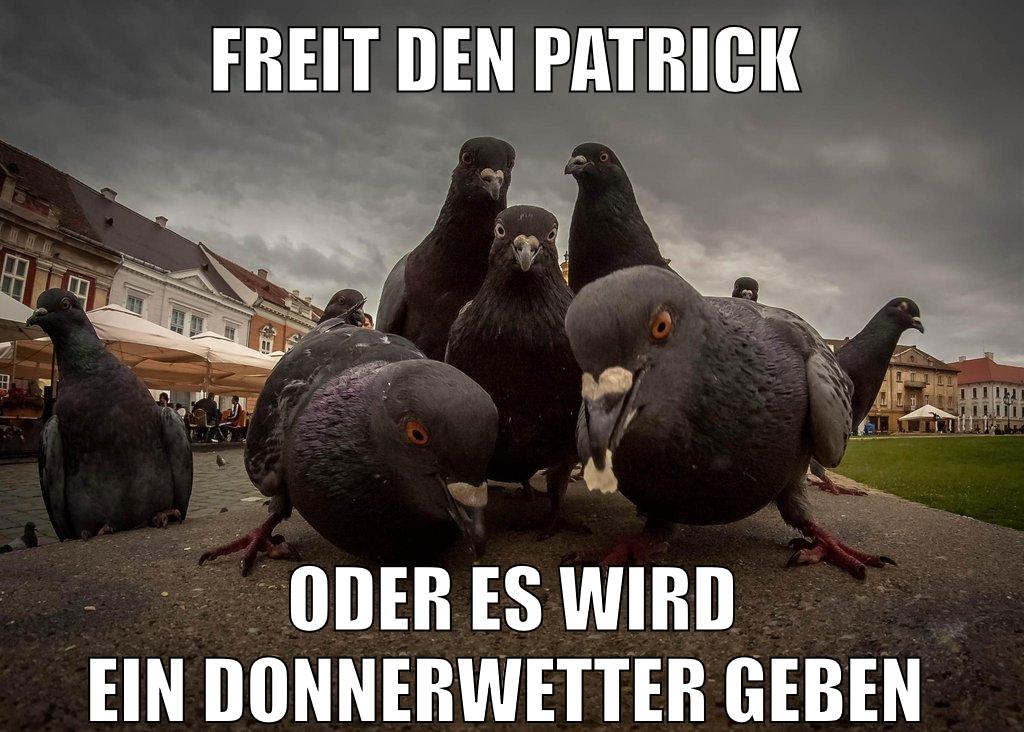 freit den patrick oder es wird ein donnerwetter geben