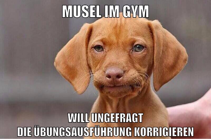 musel im gym will ungefragt die übungsausführung korrigieren