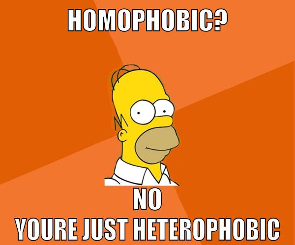 homophobic? no youre just heterophobic