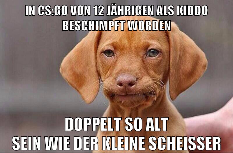 In CS:GO von 12 jährigen als kiddo beschimpft worden doppelt so alt sein wie der kleine scheißer